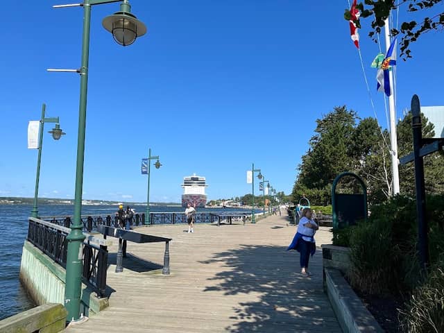 Sydney Boardwalk - Image 3