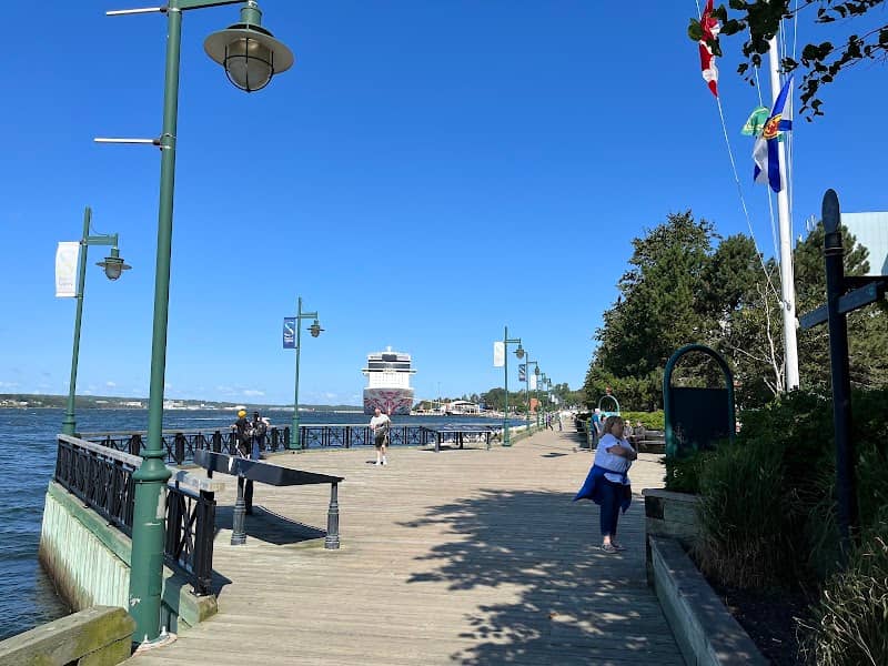 Sydney Boardwalk - Image 3