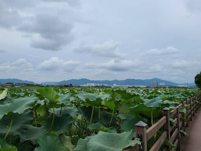 점새늪 쉼터 - Image 1