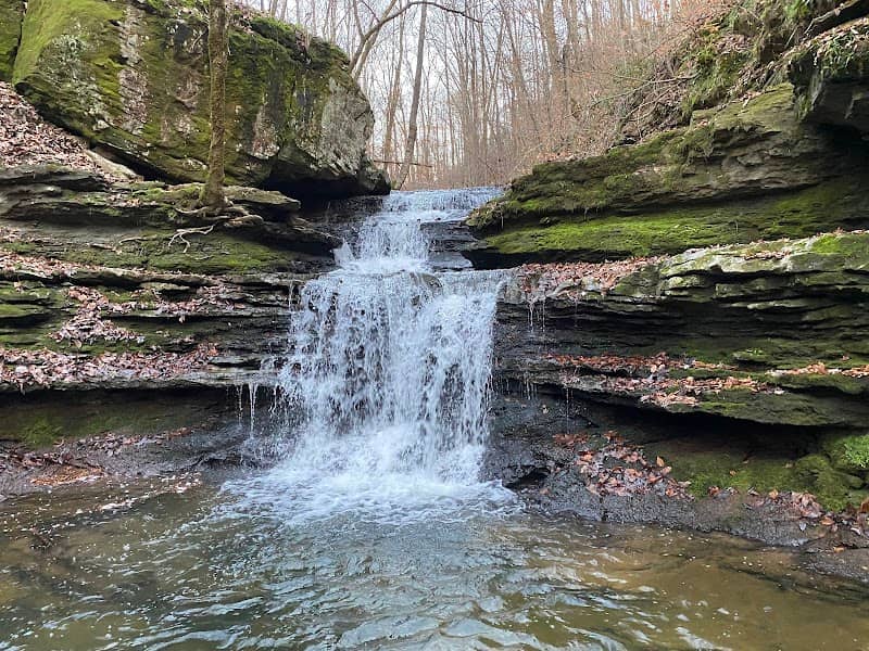 Buck's Pocket State Park - Image 3