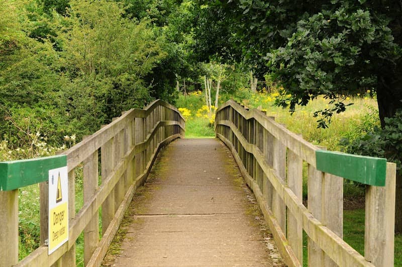 Linear Park Walking Paths - Image 2