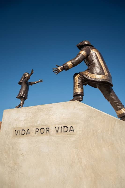Vida por Vida Statue - Image 1
