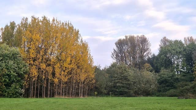 Byerley Park - Image 2