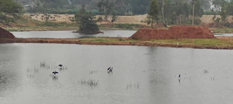 Chichuraganapalli Lake - Image 1