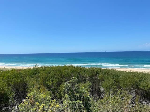 Pelican Beach - Image 2