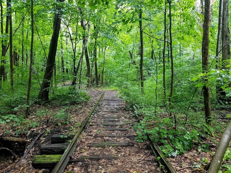 Mill City Park - Image 3