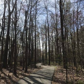 Matteson Trail - Image 2