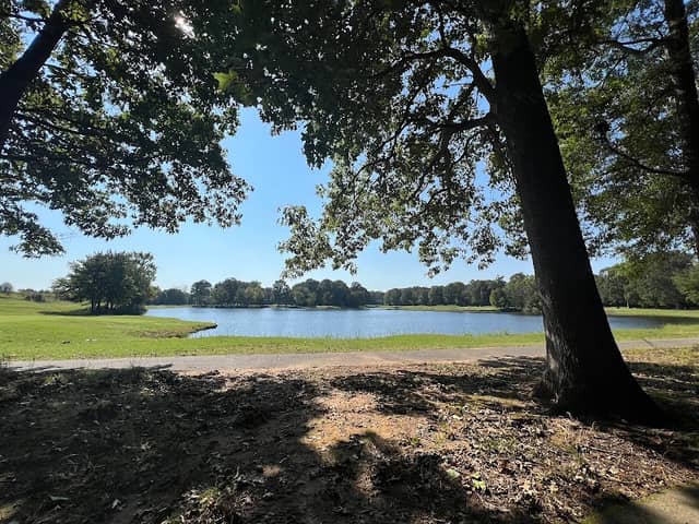 Matteson Trail - Image 1