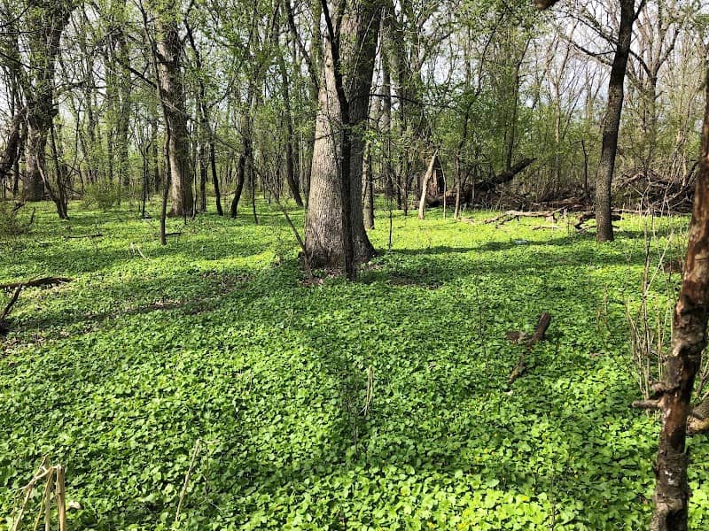 Glenwood Woods-North - Image 1