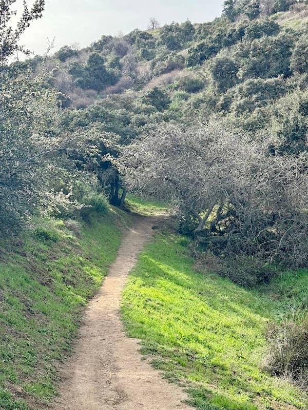 San Rafael Hill - Image 1
