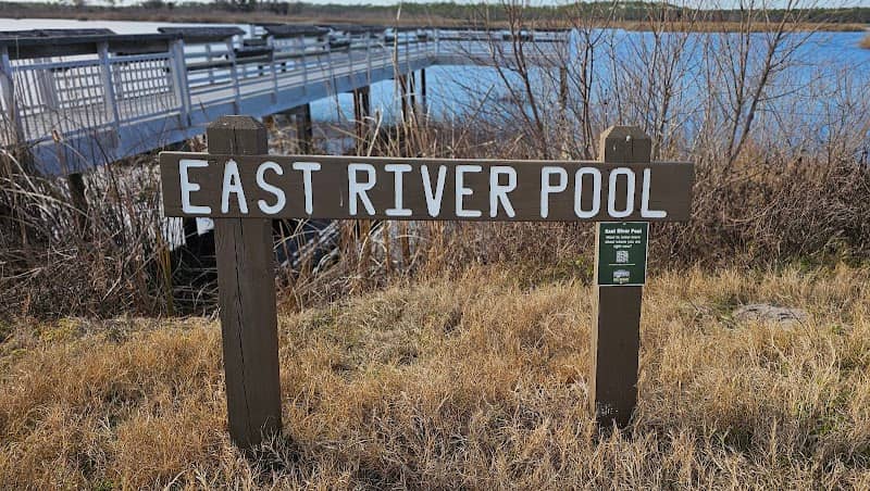 East River Pool View Point - Image 1