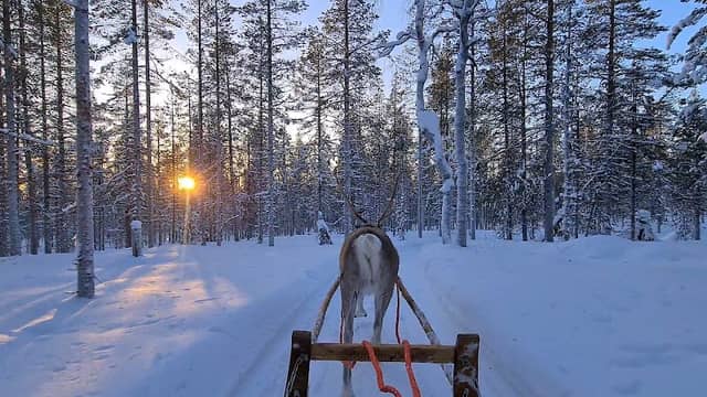 Taalovaara Reindeer Ranch - Image 1