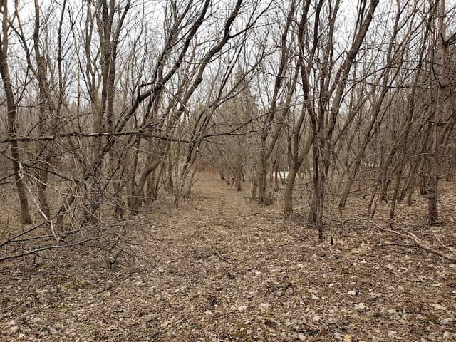 Headwaters Nature Preserve - Image 2