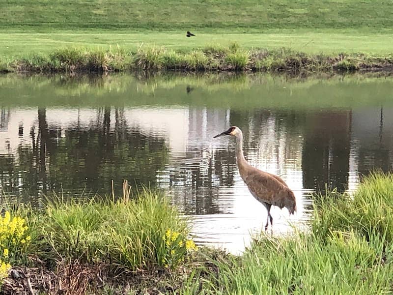 Prairie Park - Image 1