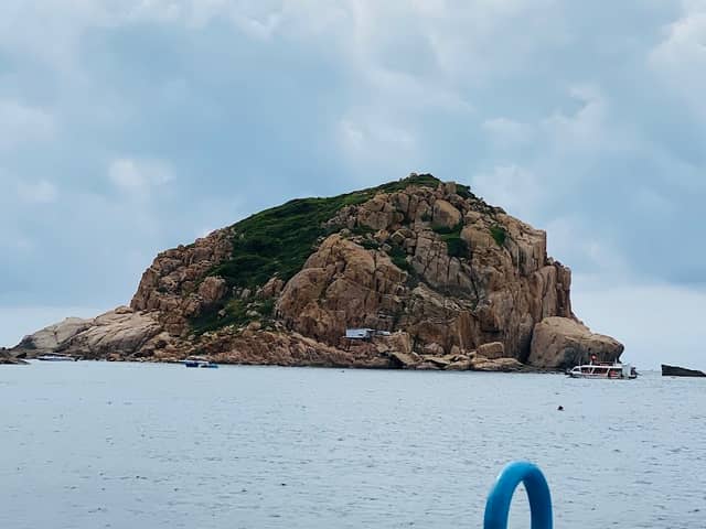 Mũi Cá Heo - Image 1