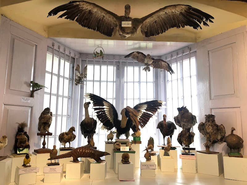 Government Museum - Image 2