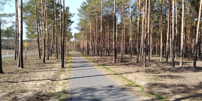 Ścieżka rowerowa Czerwieńsk <-> Nietków - Image 1