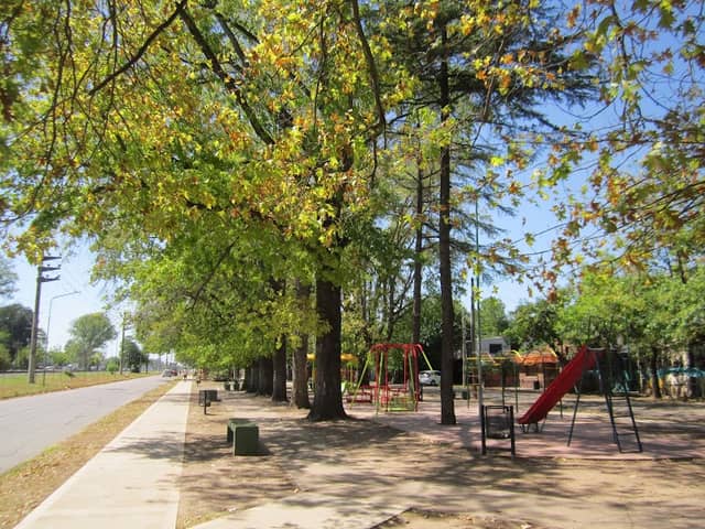 Boulevard "Paseo de la Amistad" - Image 1