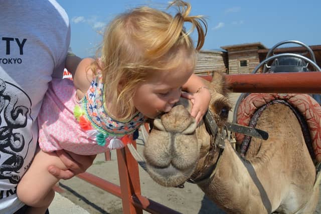 Camel Park Sunny Beach - Image 1