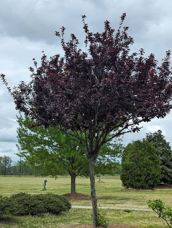 UMO Arboretum - Image 2