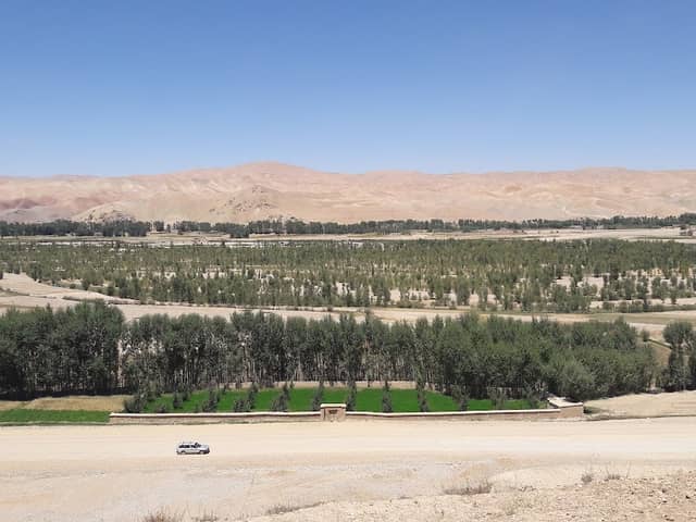 باغ موسوی - Image 1