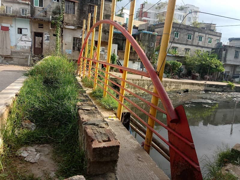 চিড়িঙ্গা দ্বীপ - Image 1