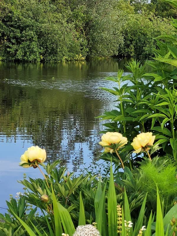 Waterside Garden - Image 3