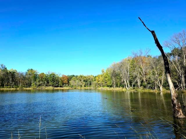 City of Eagan's Nature Park - Image 1