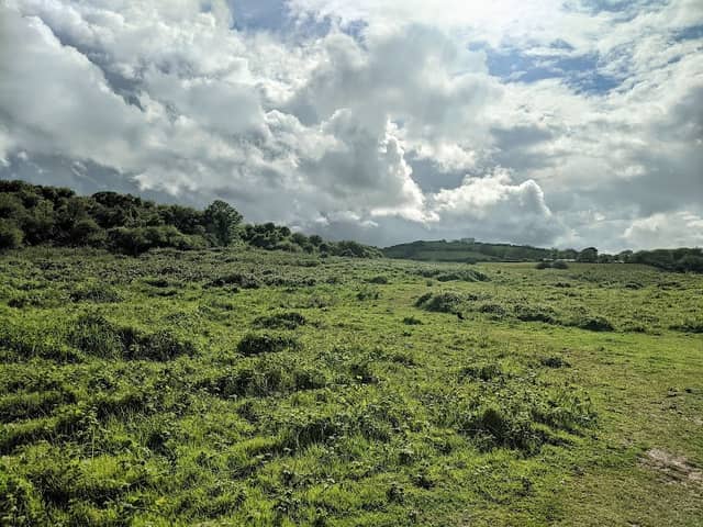 Sharkham Point - Image 3