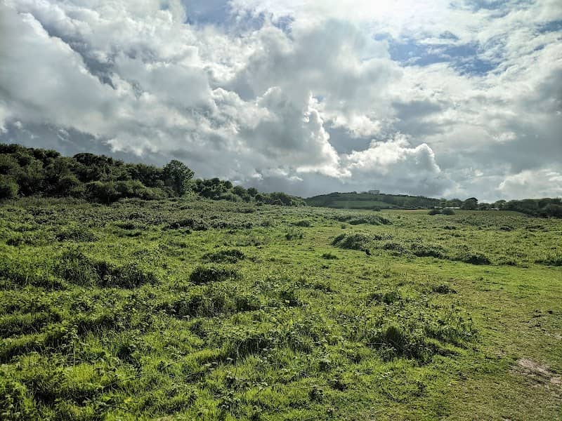 Sharkham Point - Image 3