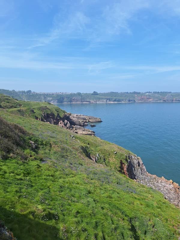 Sharkham Point - Image 2