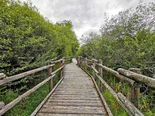 Observatoire Ornithologique de Montigny en Morvan - Image 1