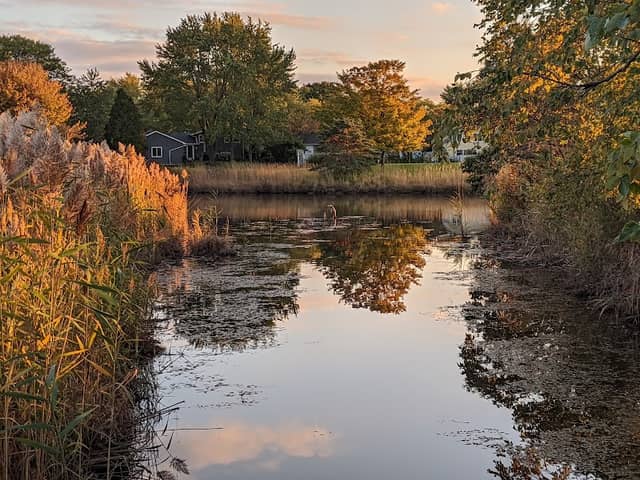 Campanelli Park - Image 2