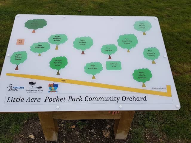 Little Acre Fen Pocket Park - Image 1