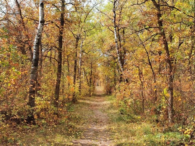 Birds Hill Provincial Park - Image 3