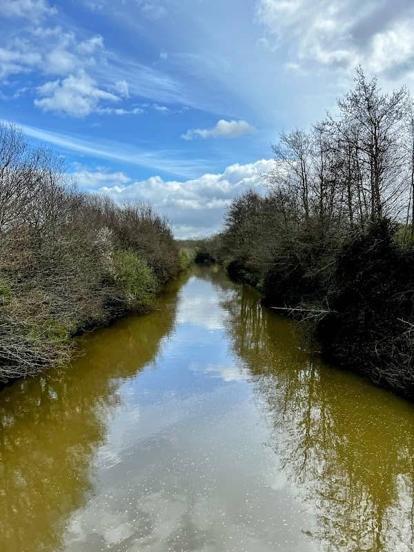 Friendship Bridge - Image 1