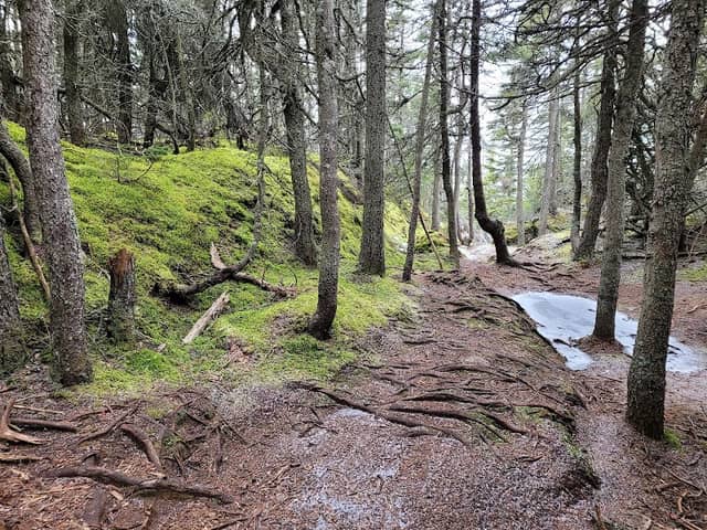 Parc côtier Kiskotuk--Secteur marais du Gros-Cacouna - Image 2