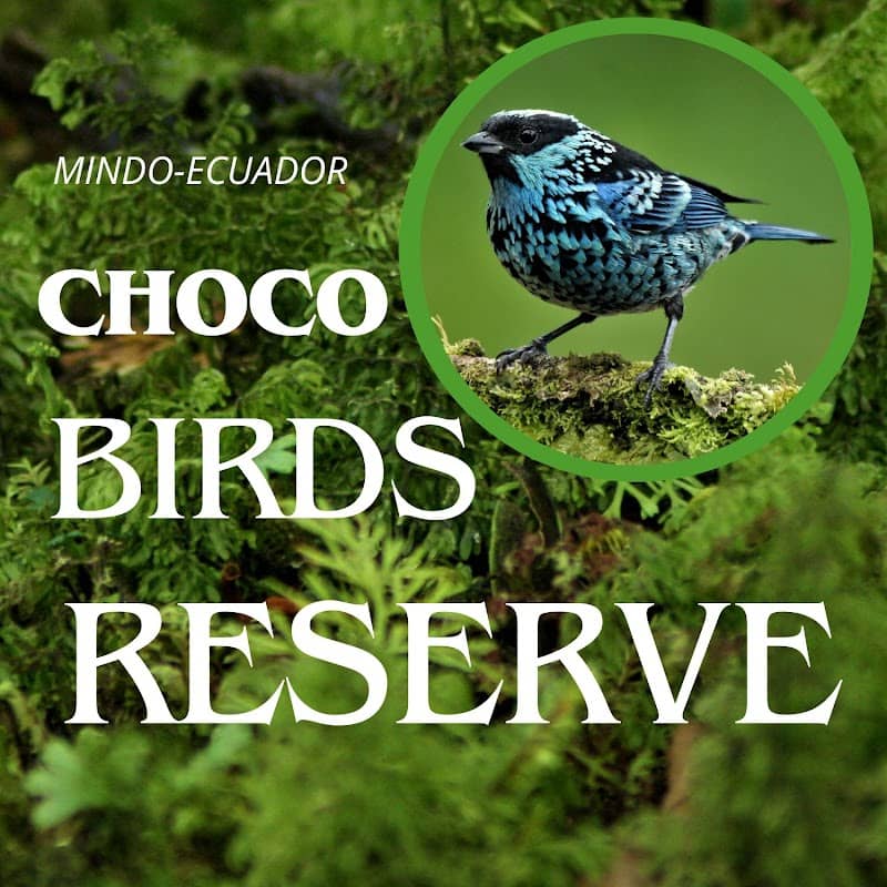 Choco Birds Reserve - Image 1
