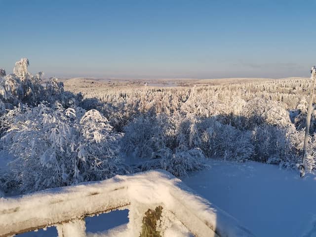Neulamäki Watch Tower - Image 2