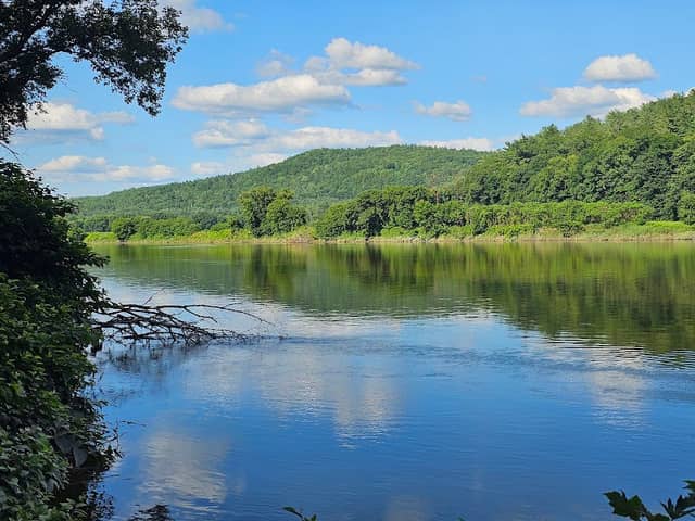 Wilgus State Park - Image 1