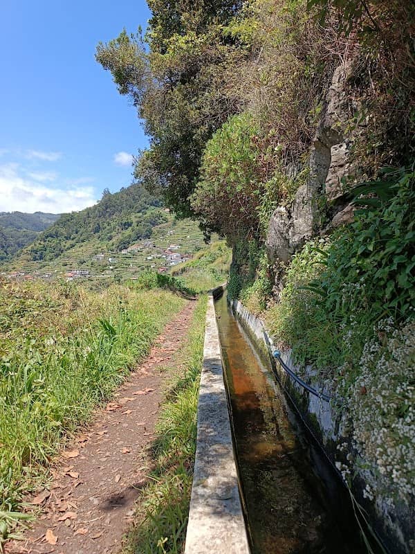 Levada do Caniçal - Image 2