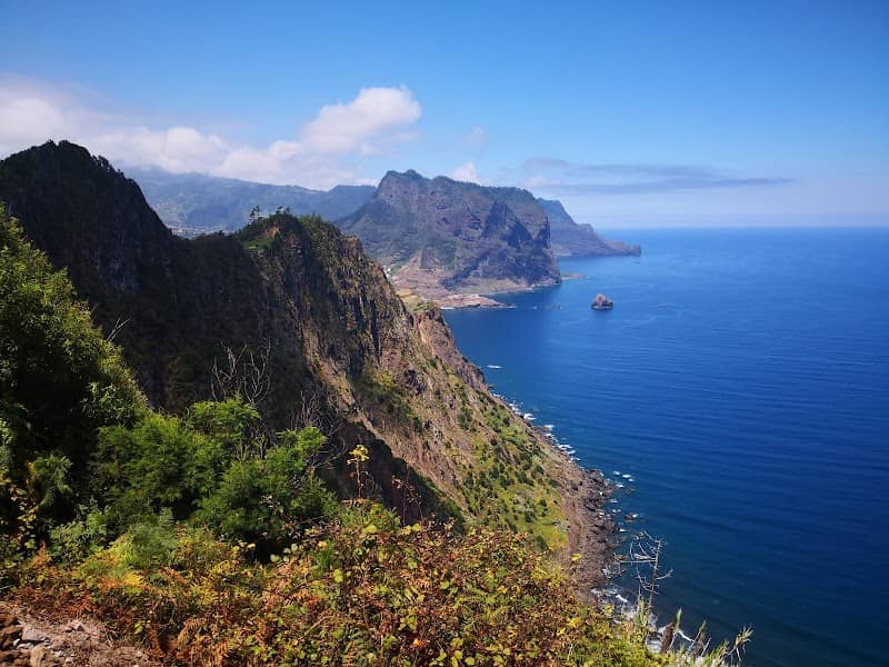 Levada do Caniçal - Image 3