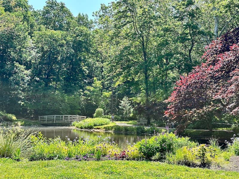 Edith J. Carrier Arboretum - Image 2
