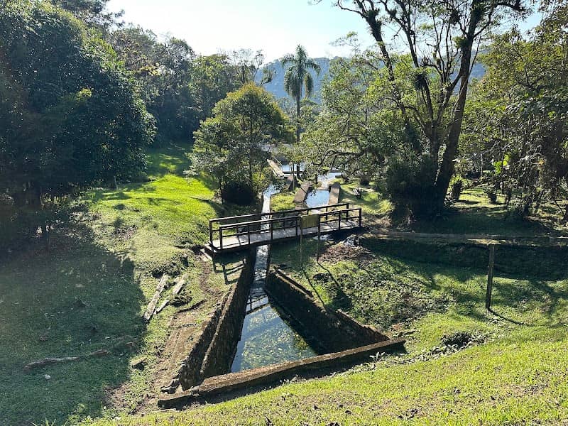 Parque Natural Municipal Nascentes de Paranapiacaba - Image 1