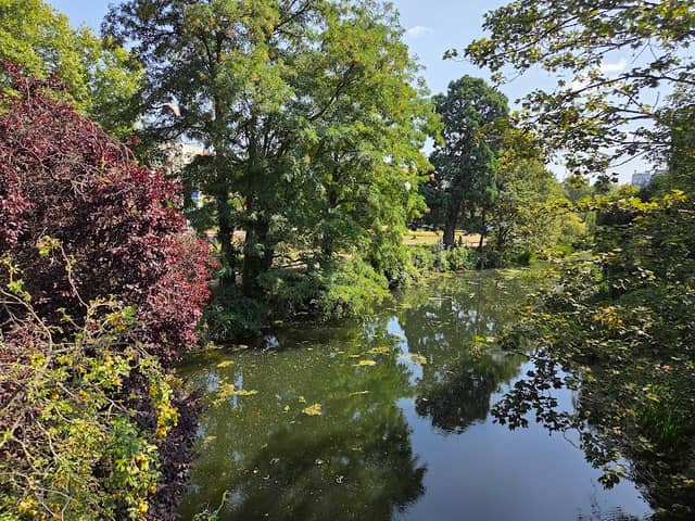 Bell Meadow Park - Image 2
