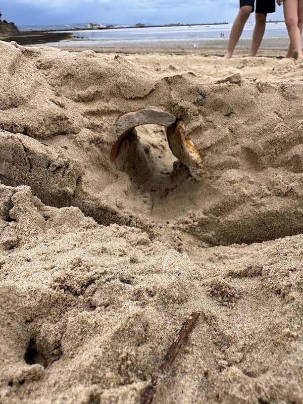 Sandy Castle Cove - Image 2