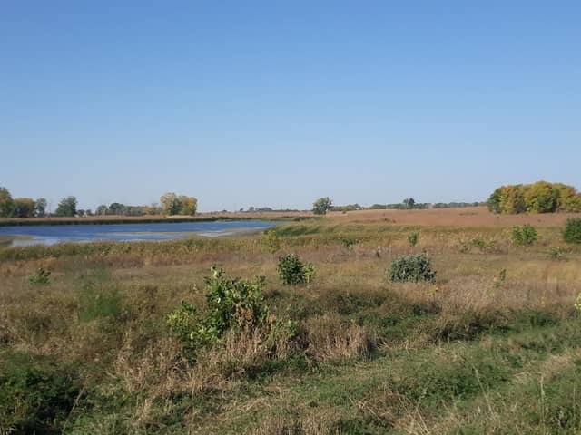 Atkins Waterfowl Production Area - Image 1