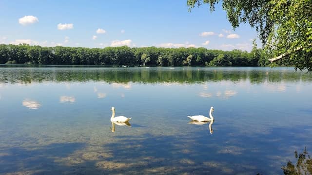 Rundweg Dürener Badesee - Image 2