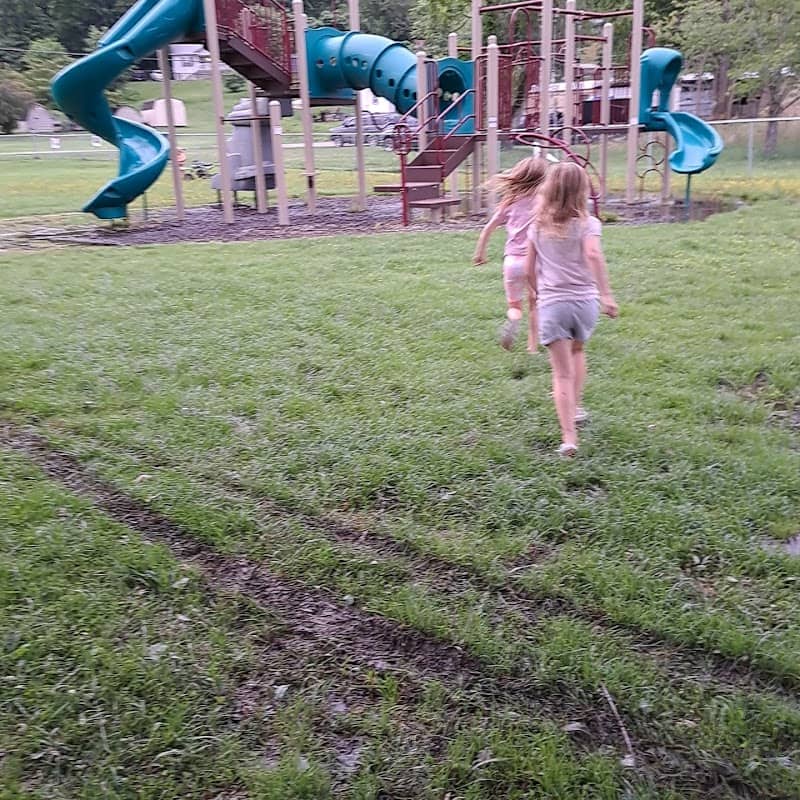 Salt Lick Park - Image 2