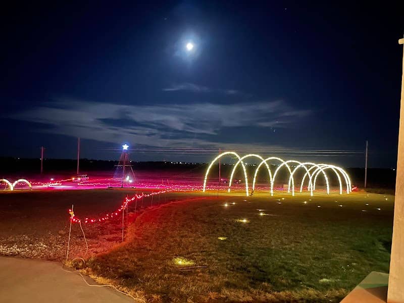 Williams Family Christmas light Show - Image 2
